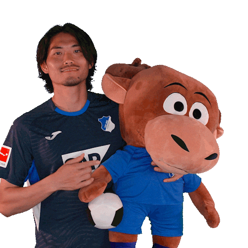 Sport Bundesliga Sticker by TSG Hoffenheim