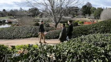 200.gif?cid=fc005b08babaa9167fadbbbf45cb5e65adc8b2fa36fce0f8&rid=200.gif&ct=g
