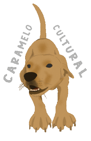 Golden Retriever Carnavalpe Sticker by Priscila Luna