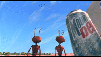 scottcarey  GIF