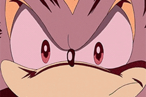 Shadow The Hedgehog GIF