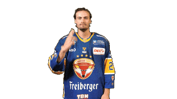 Hjorth Celebrate Sticker by Lausitzer Füchse