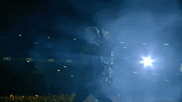 Pearl Jam GIF
