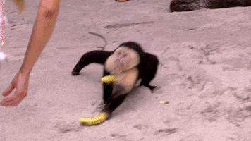 Banana Thief GIF