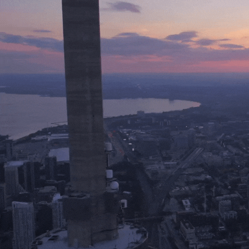 TOmycity GIF