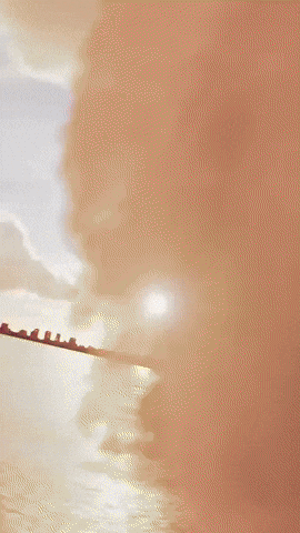 GIF by Florida Panthers