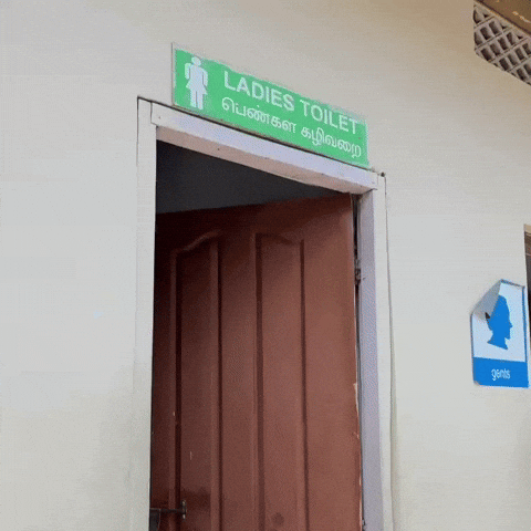 Toilet Mass GIF