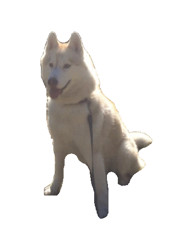 Sticker by Appartements_Andy