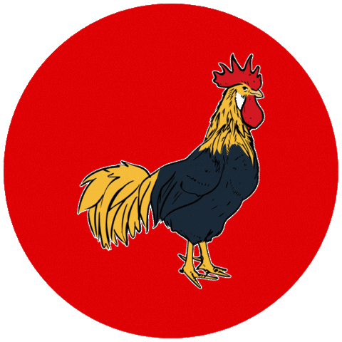 Sunrise Records Sticker