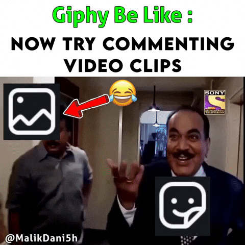 Gallery Instagram Photos GIF