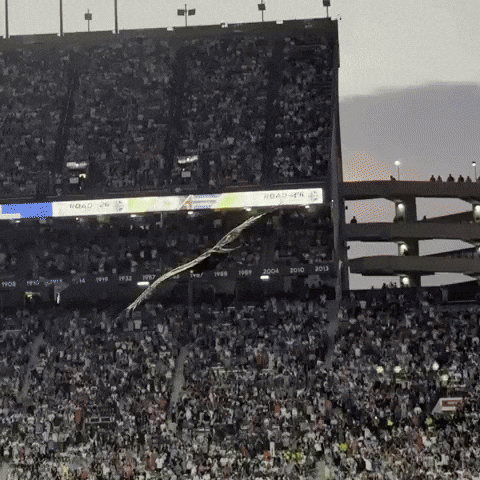 War Eagle America GIF