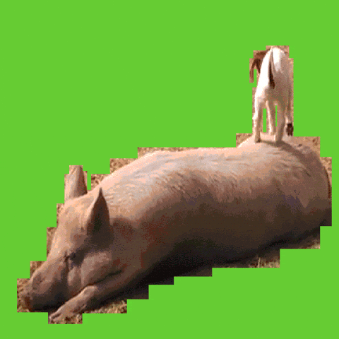 GIF by Lorna Mills