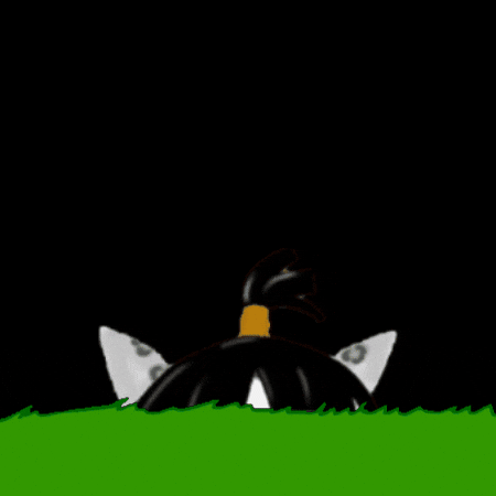 I Am Watching GIF by Insomnia Cats