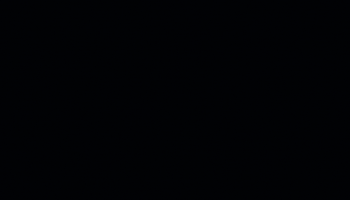 Instagram Insta GIF by NYC Prime Shot