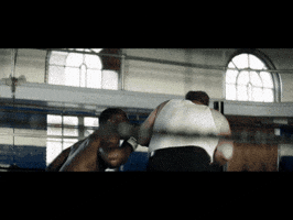 Boxing Boxingring GIF by Angela Shelton