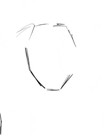 Animation GIF
