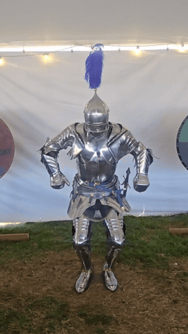 Knight Armor GIF