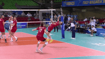 Lets Go Wow GIF by Volleyball World
