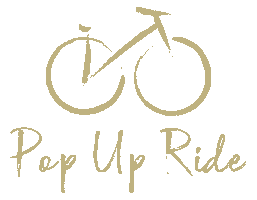 Stride Spin Studio Sticker