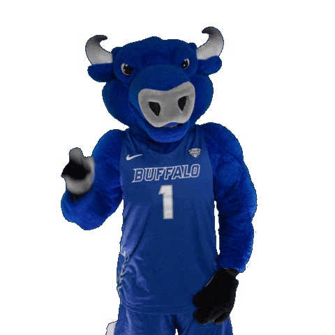 Swipe Up University At Buffalo Sticker by ubuffalo