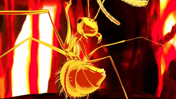 Bug Insect GIF