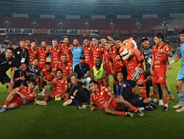 Liga 1 Football GIF