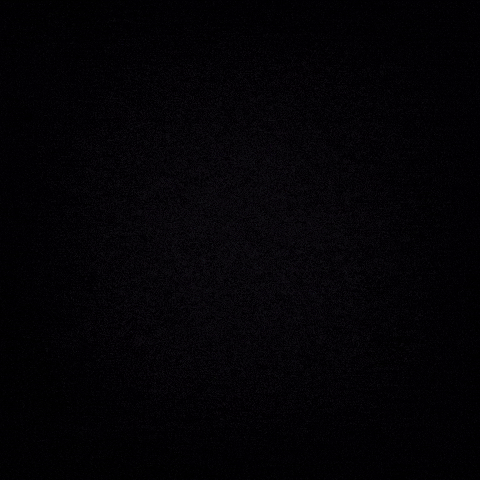 GIF by Neon Gold Records