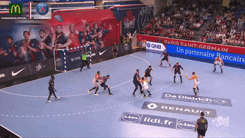 champions league sport GIF by Paris Saint-Germain Handball