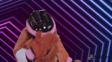 Philly GIF by Philadelphia Flyers