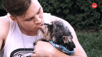 Dog Kiss GIF by BuzzFeed