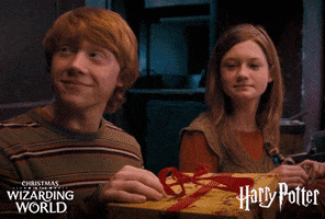 Merry Christmas GIF by Harry Potter