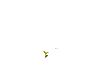 SEMENTES CAMPEA Sticker