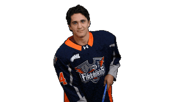 Get Loud Win Sticker by Flint Firebirds