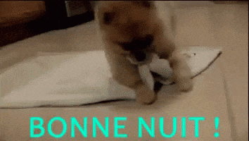 Bonne Nuit Gifs Get The Best Gif On Giphy