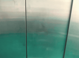 Zutomayo GIF