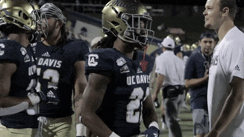 First Down 1St GIF by UC Davis