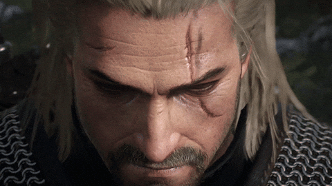 The Witcher !