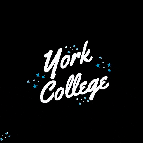 yorkcollegeneb yorkcollege ycpanthers yorkcollegeneb bemoreatyc GIF