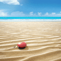 Tropical Beach GIFs - Find & Share on GIPHY