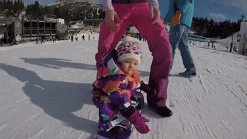 Idea Distribution LLC GIF