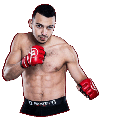 Ilias Bulaid Sticker