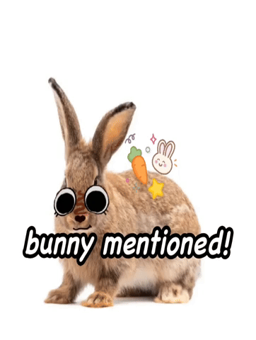 Bunny GIF
