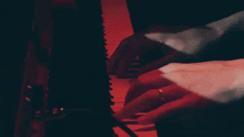 polyvinylrecords piano keyboard live music synth GIF
