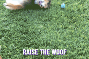GIF by Planet Fitness