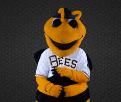 SaltLakeBees baseball safe bees milb GIF