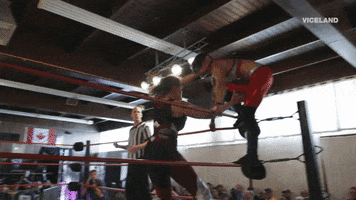 jump florida GIF by THE WRESTLERS