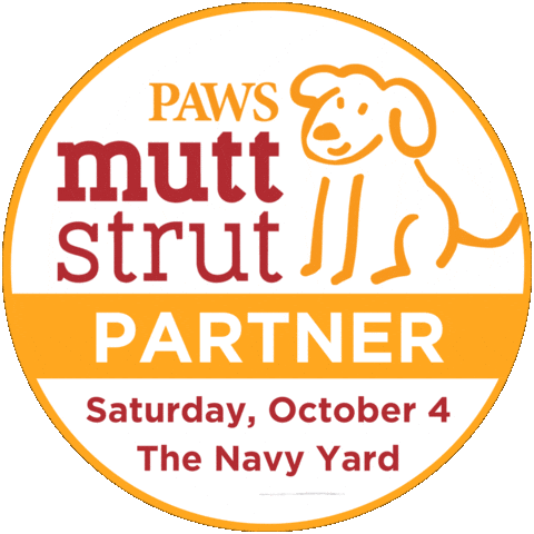 Partner Strut Sticker by PhillyPAWS