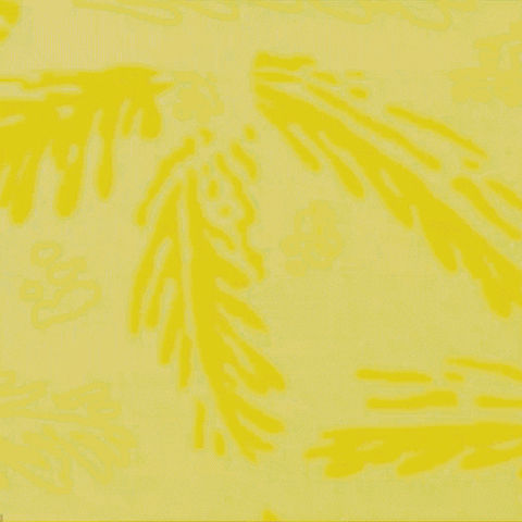 Sports GIF