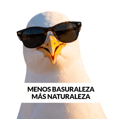 Proyectolibera Sticker by ecoembes