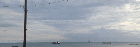 Beach See GIF by FLYLA